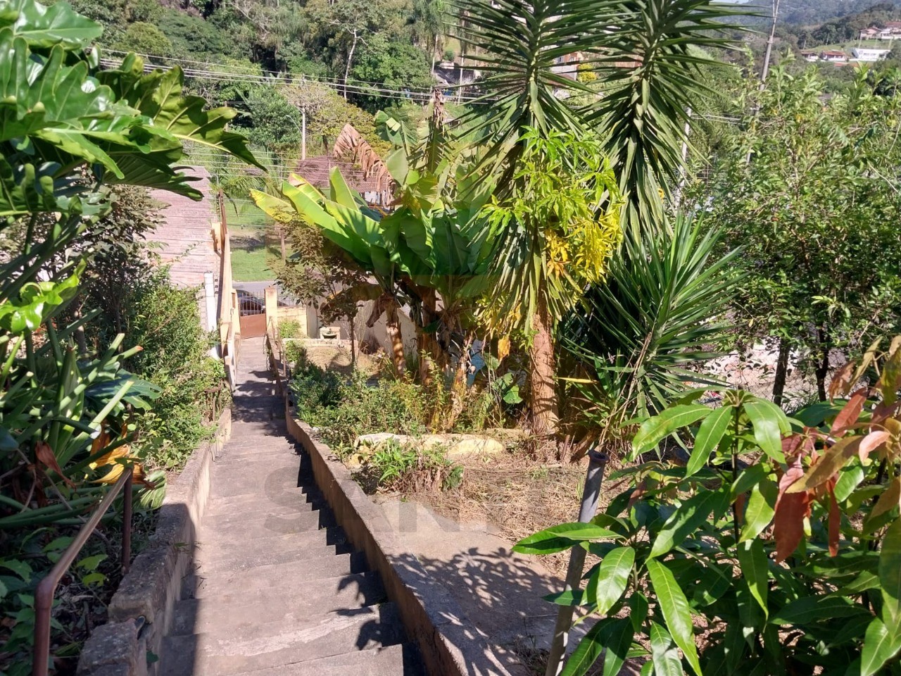 Chácara, 3 quartos - Foto 16