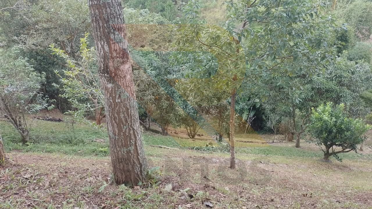 Chácara, 2 quartos - Foto 7