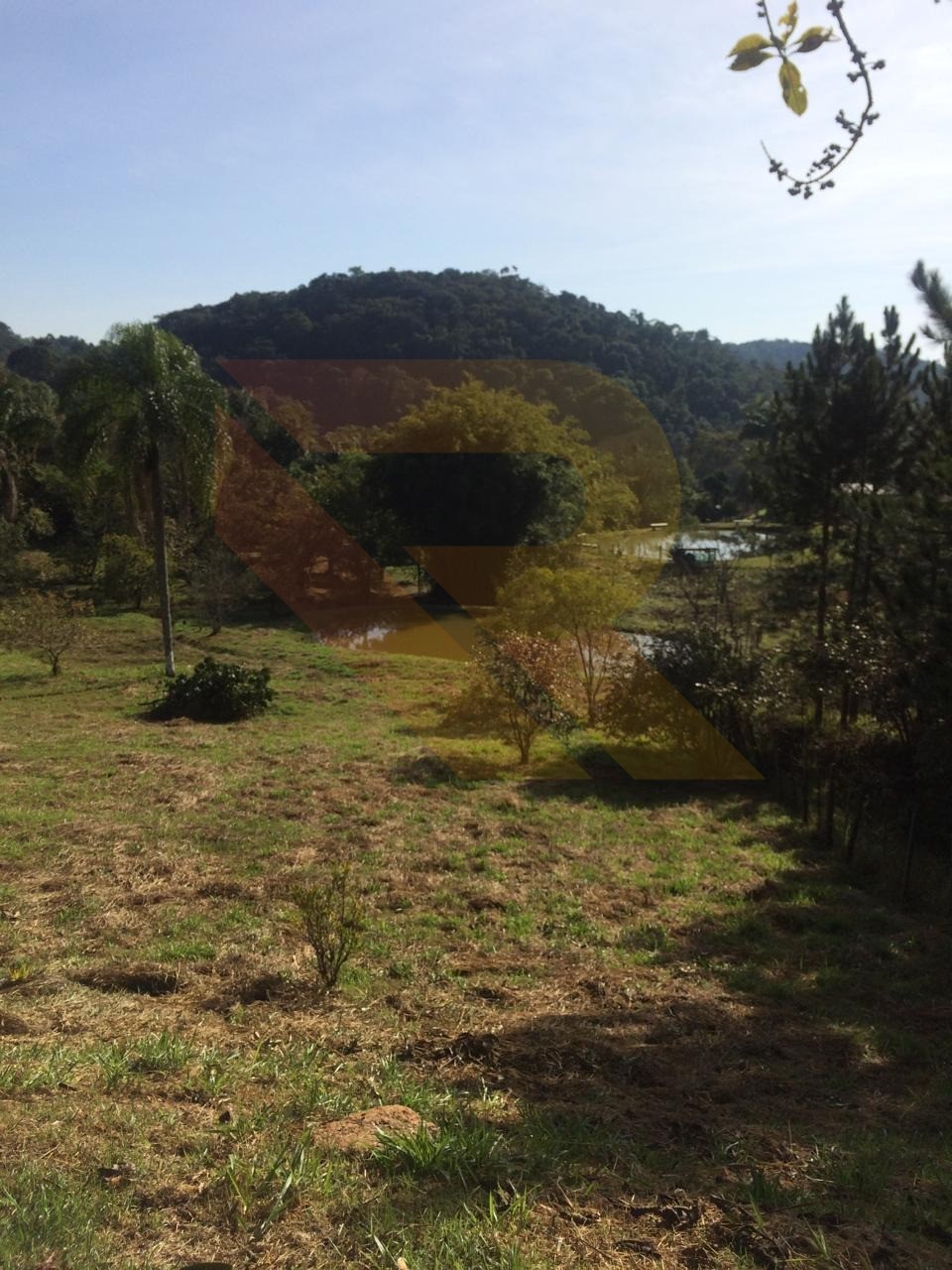 Terreno, 4 hectares - Foto 6