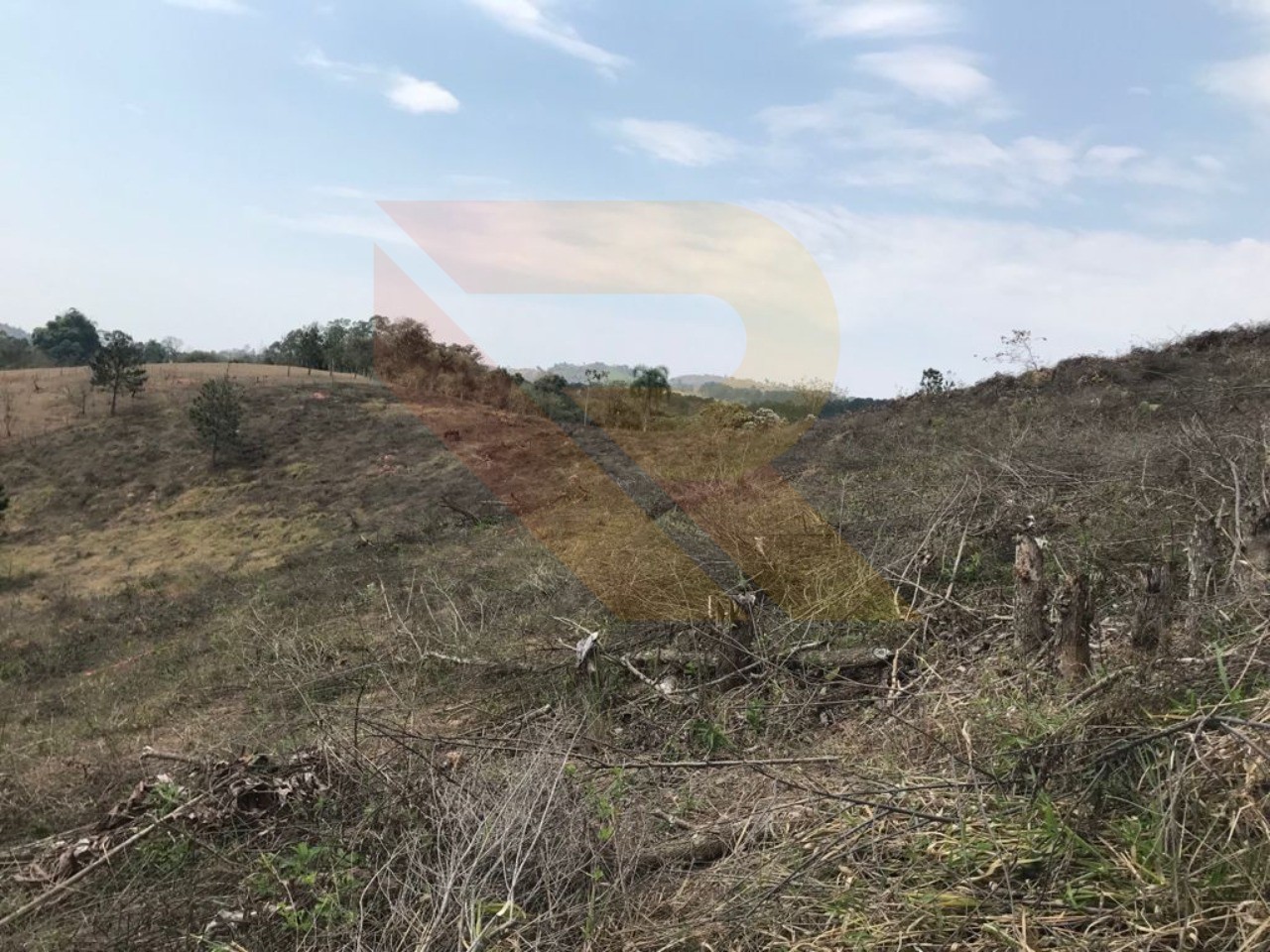 Terreno, 4 hectares - Foto 2