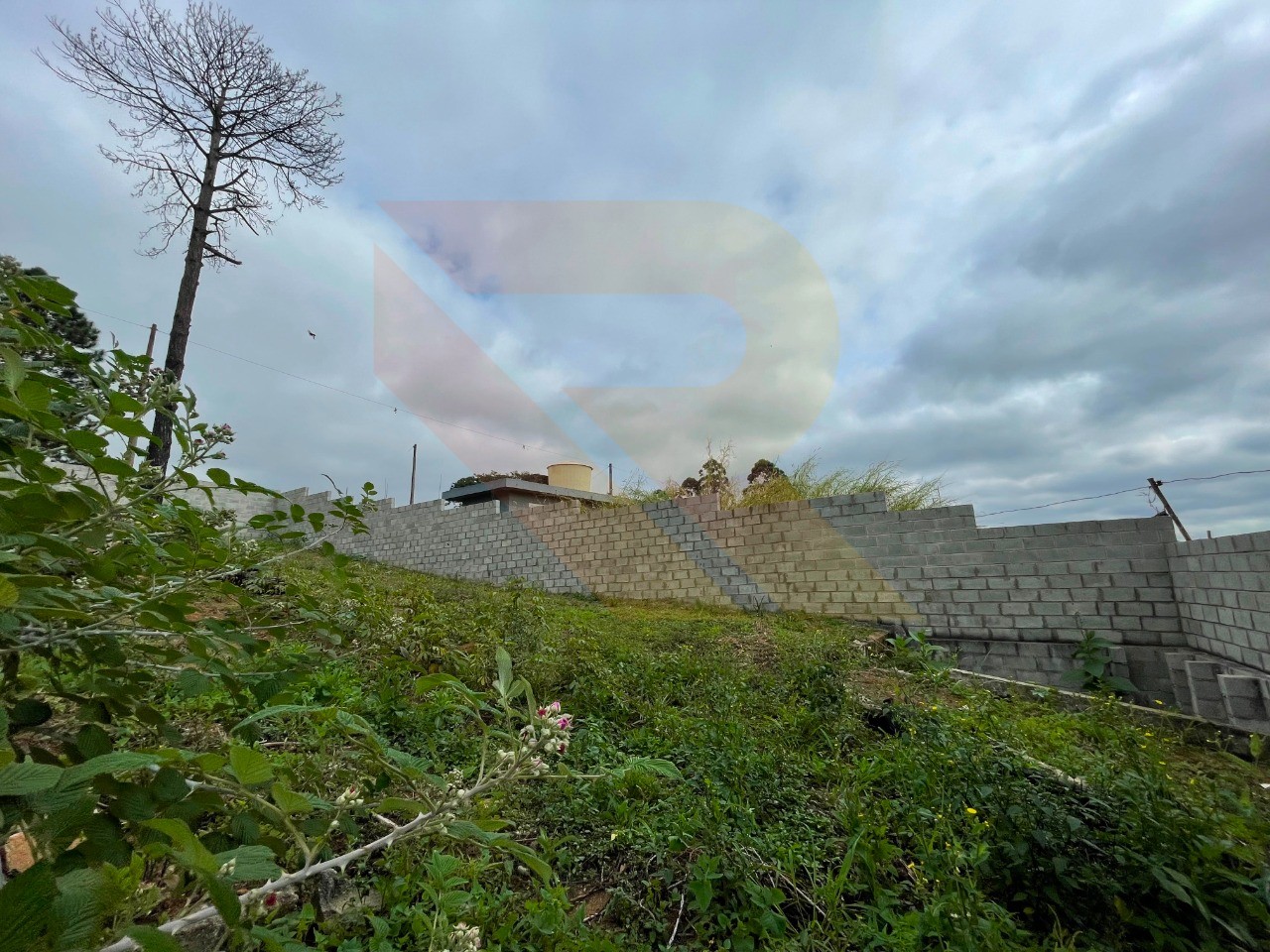 Terreno, 2743 m² - Foto 5