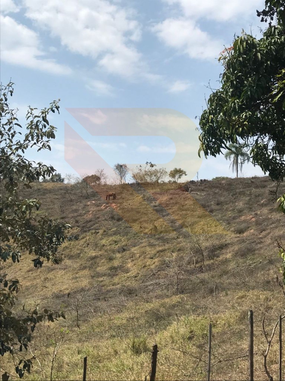 Terreno, 4 hectares - Foto 3