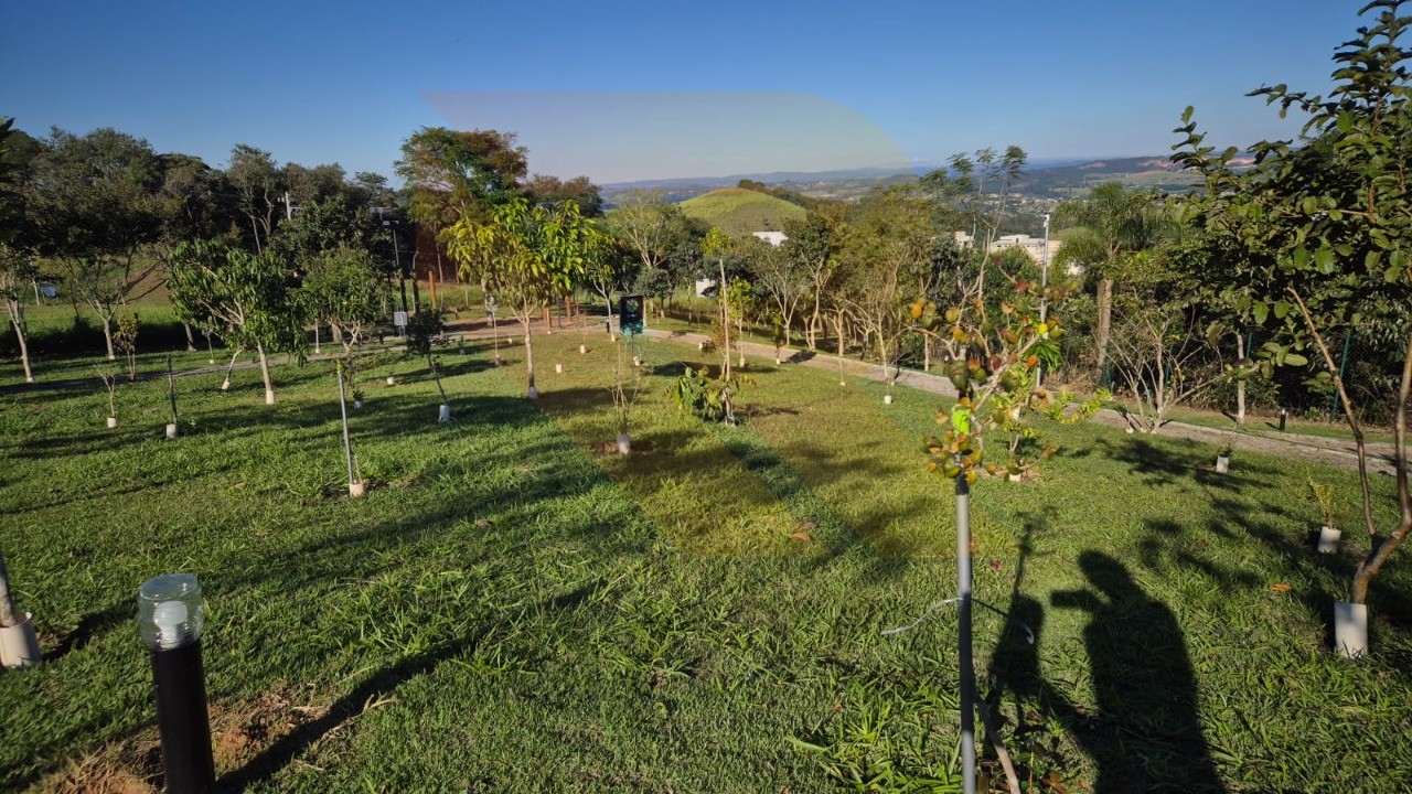 Terreno, 300 m² - Foto 7
