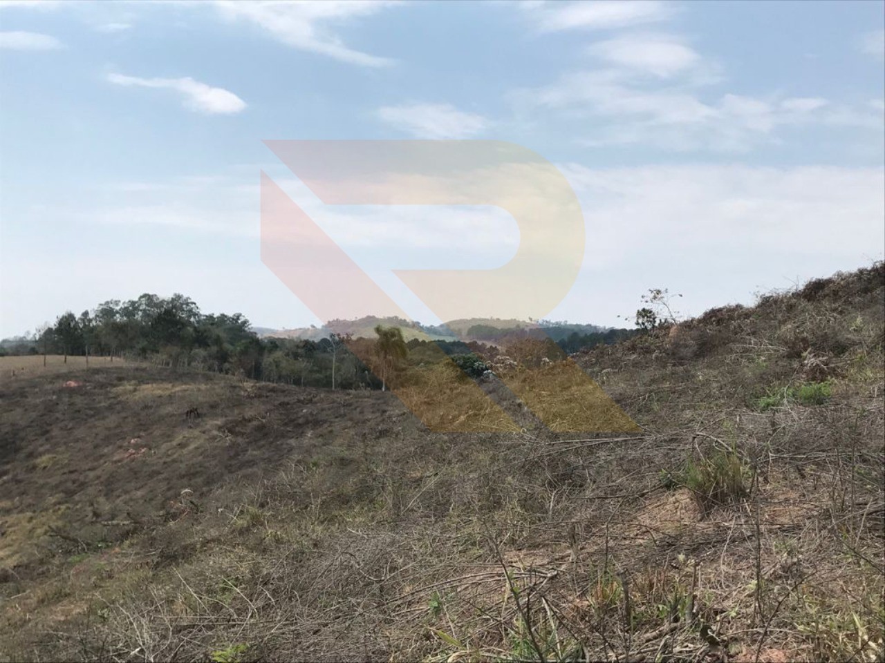 Terreno, 4 hectares - Foto 1