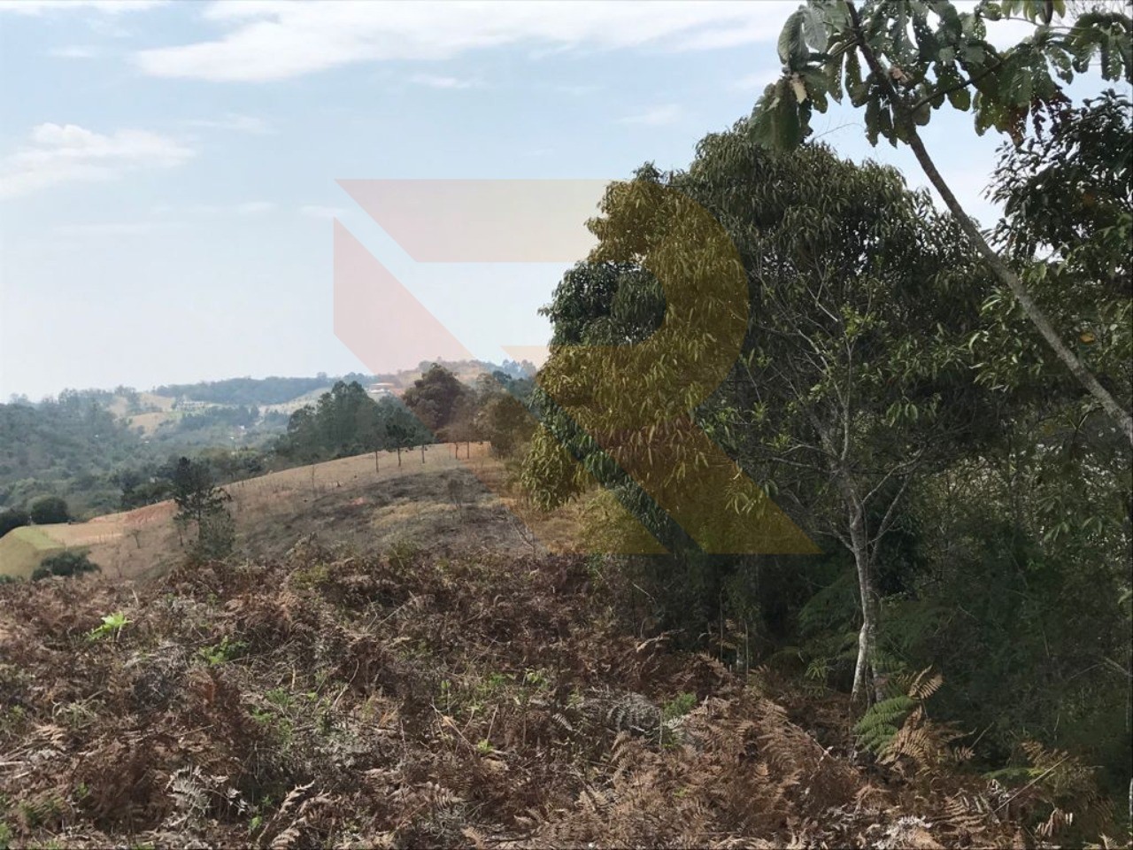 Terreno, 4 hectares - Foto 4