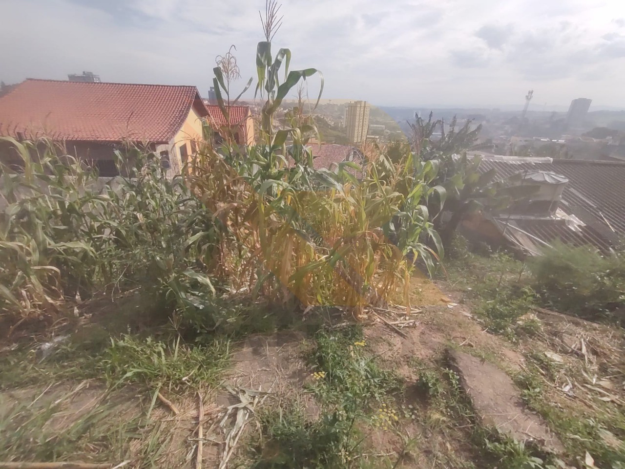 Terreno, 371 m² - Foto 2