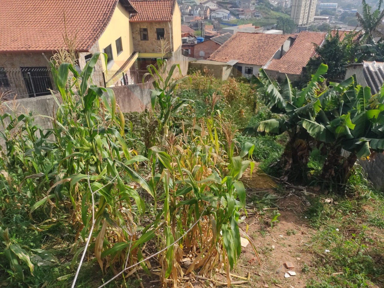 Terreno, 371 m² - Foto 1