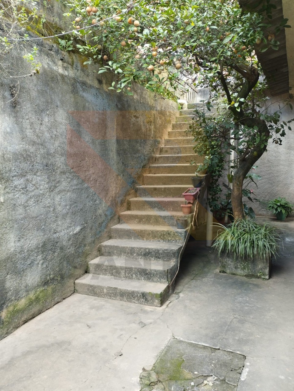 Loja-Salão, 260 m² - Foto 9