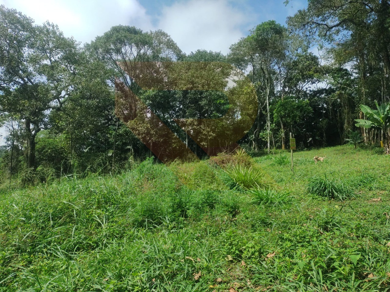 Loteamento e Condomínio, 7 hectares - Foto 2