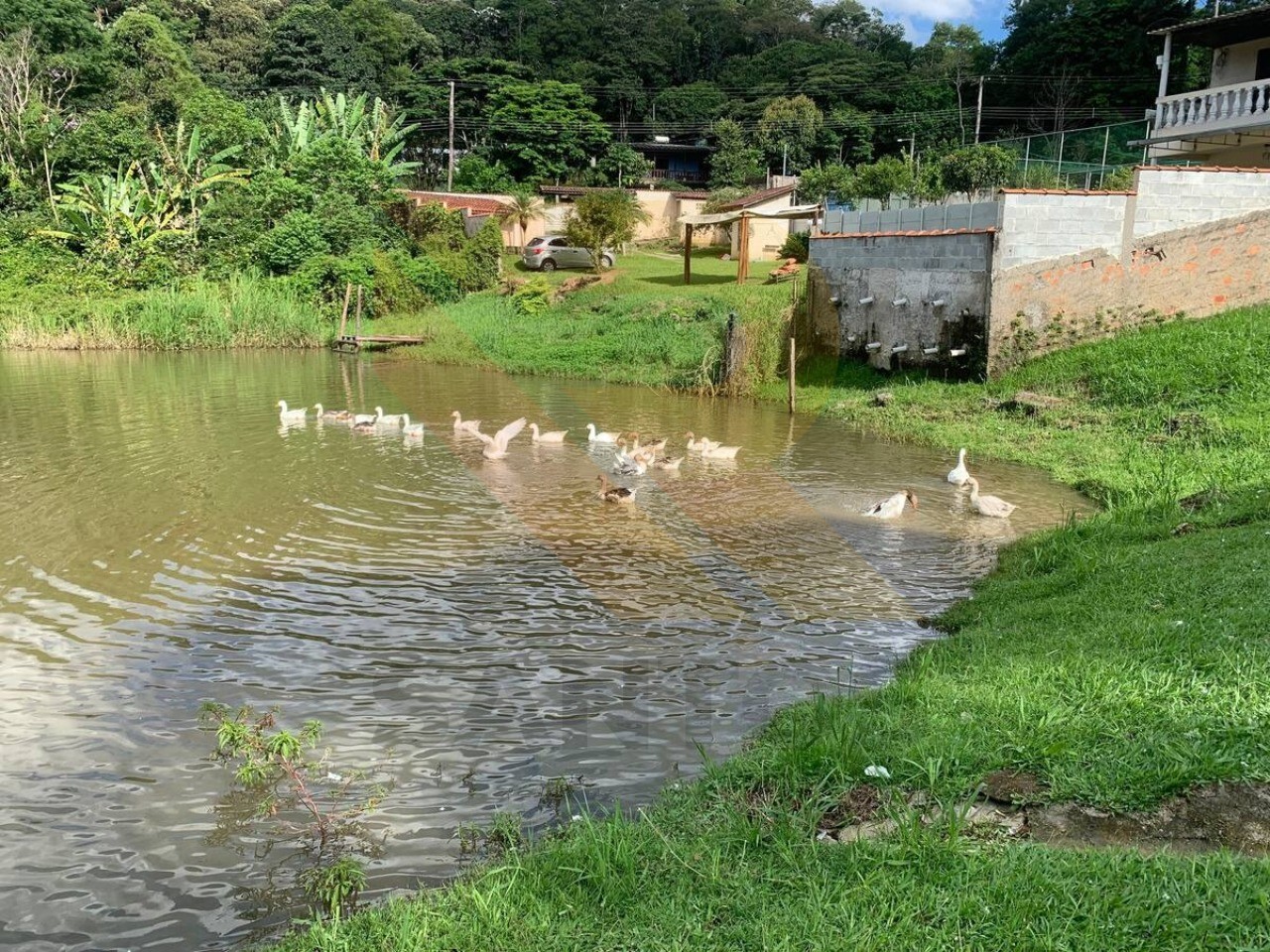 Chácara, 4 quartos - Foto 2
