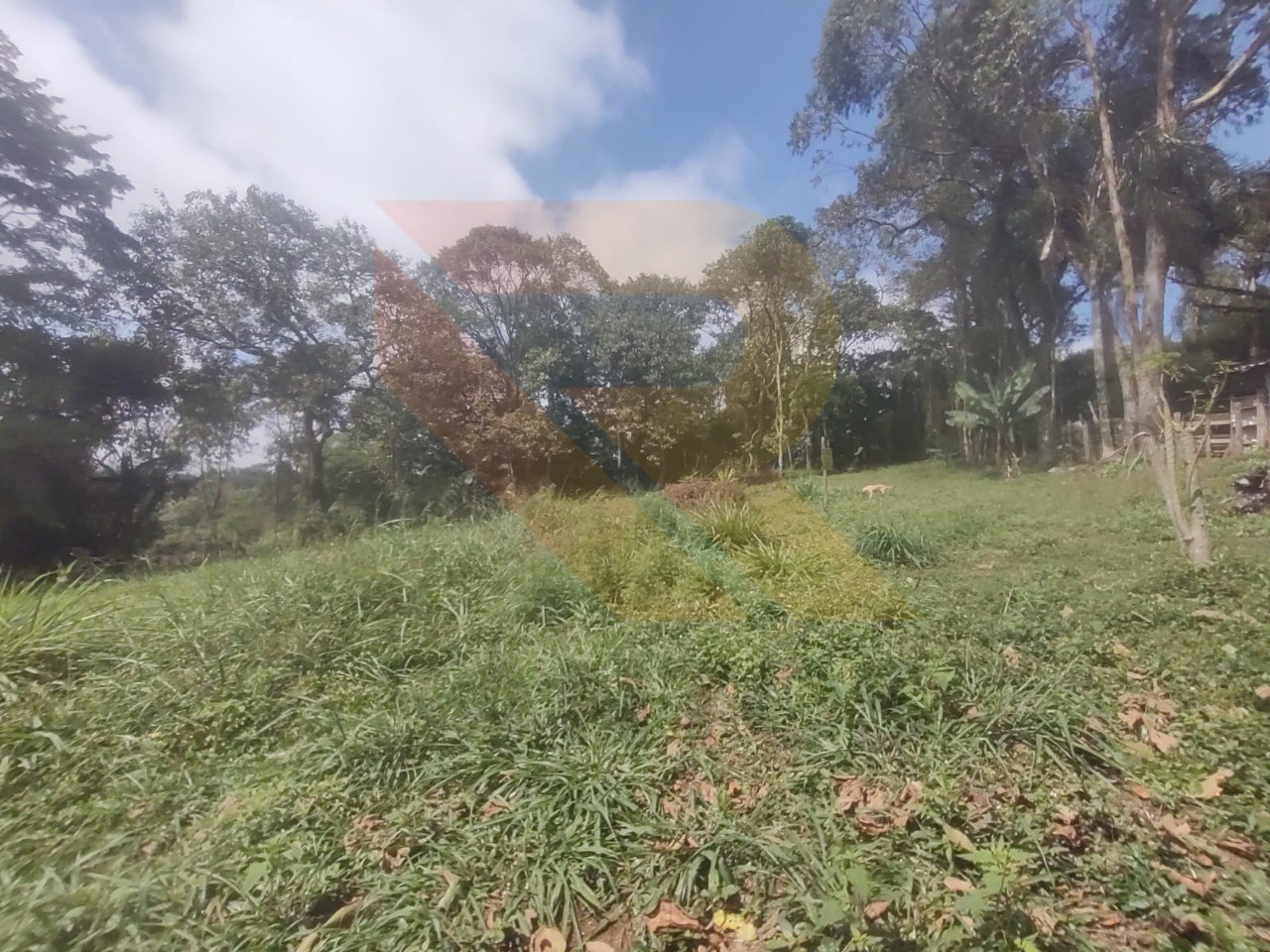 Loteamento e Condomínio, 7 hectares - Foto 4