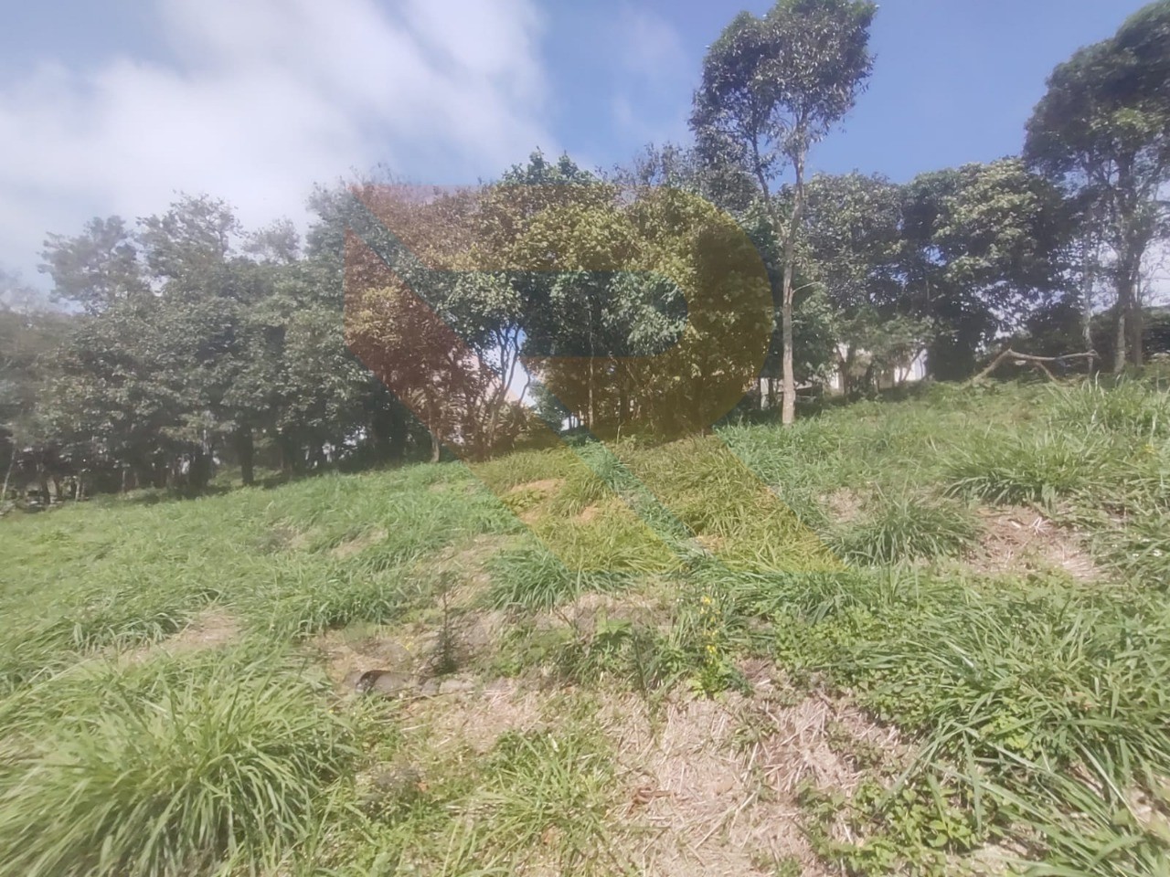 Loteamento e Condomínio, 7 hectares - Foto 6