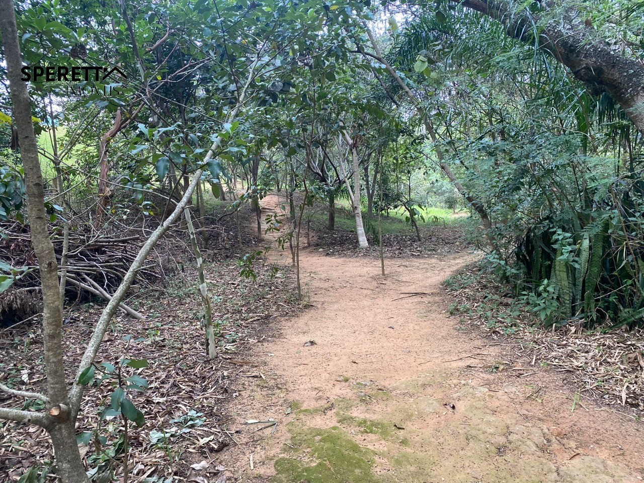 Casa, 3 quartos - Foto 36