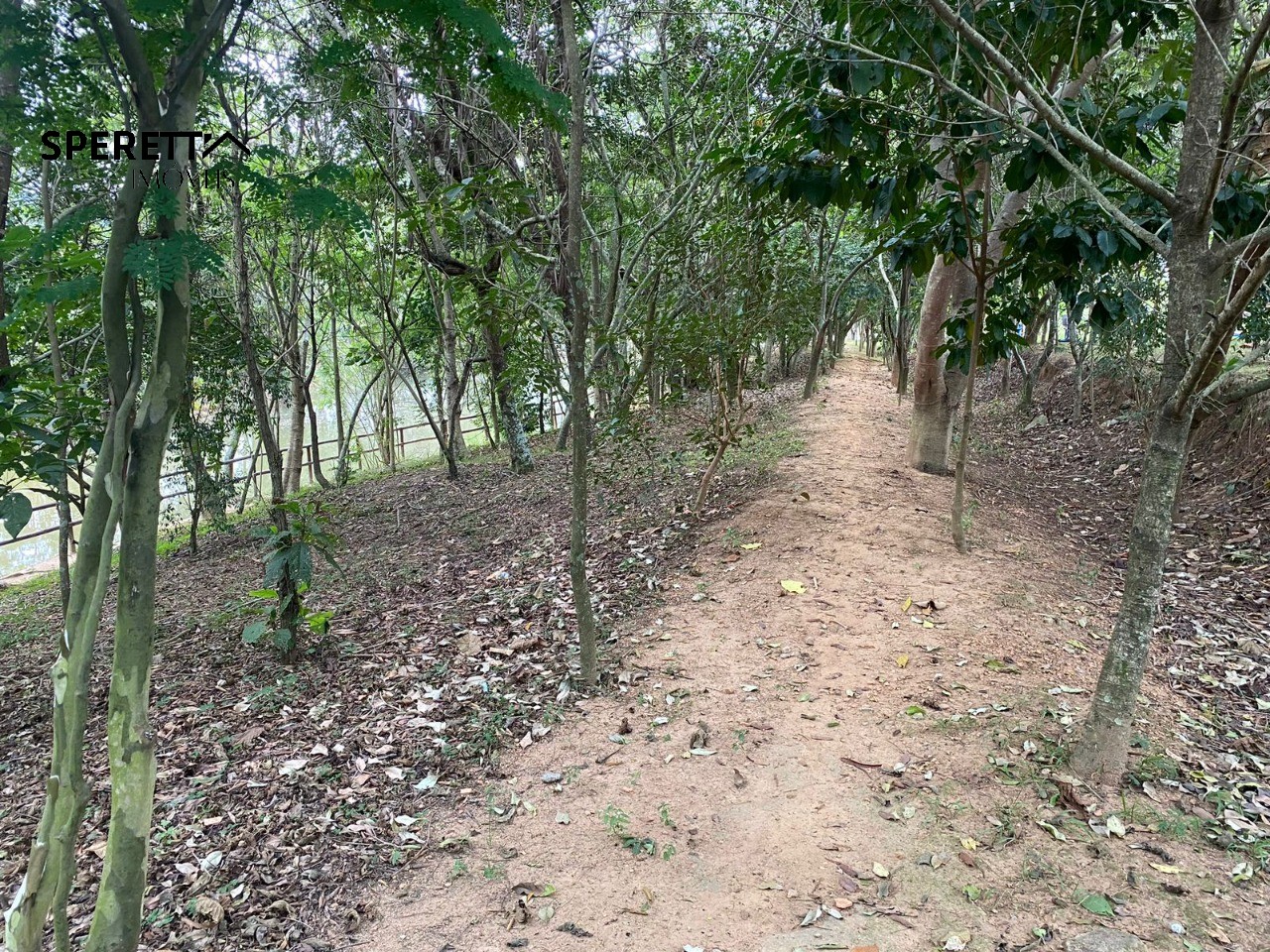 Casa, 3 quartos - Foto 35