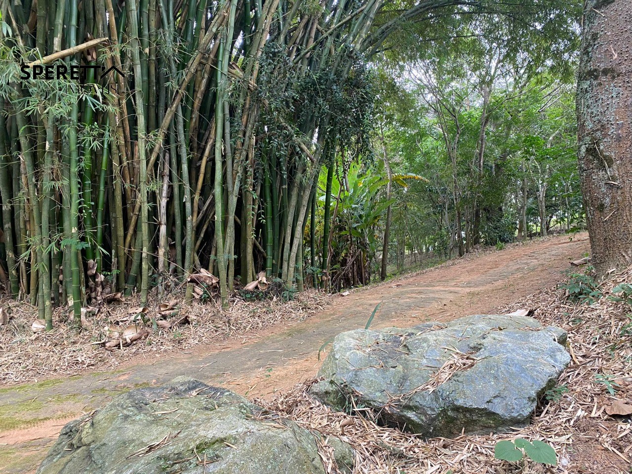 Casa, 3 quartos - Foto 33