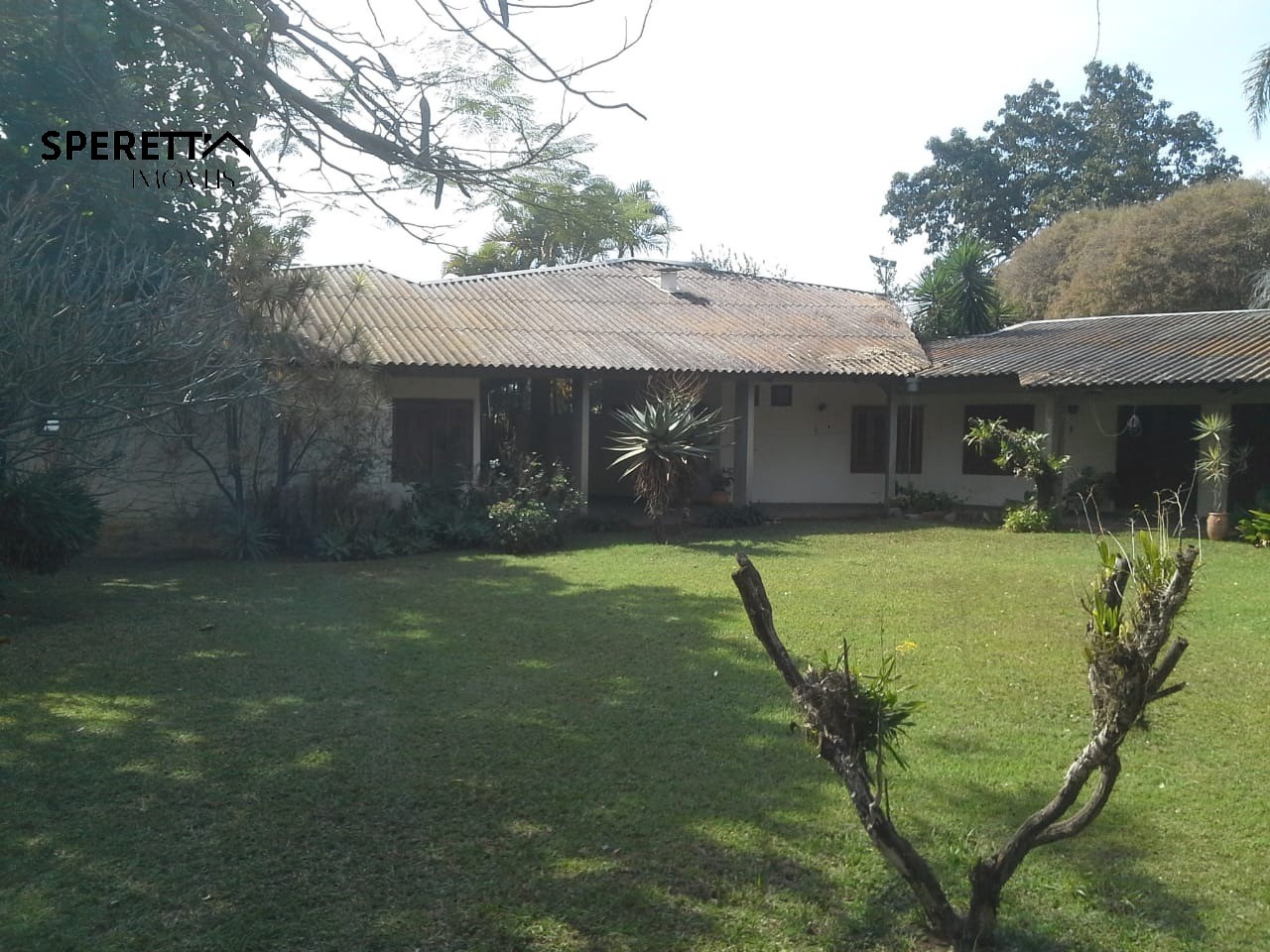 Terreno, 5000 m² - Foto 19