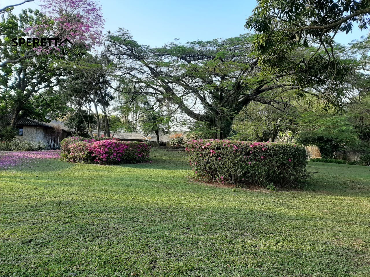 Terreno, 5000 m² - Foto 25