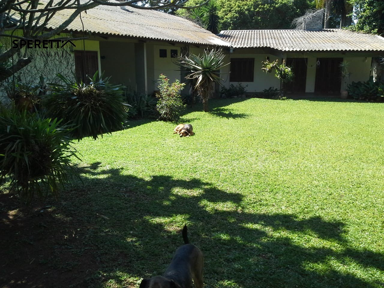 Terreno, 5000 m² - Foto 1