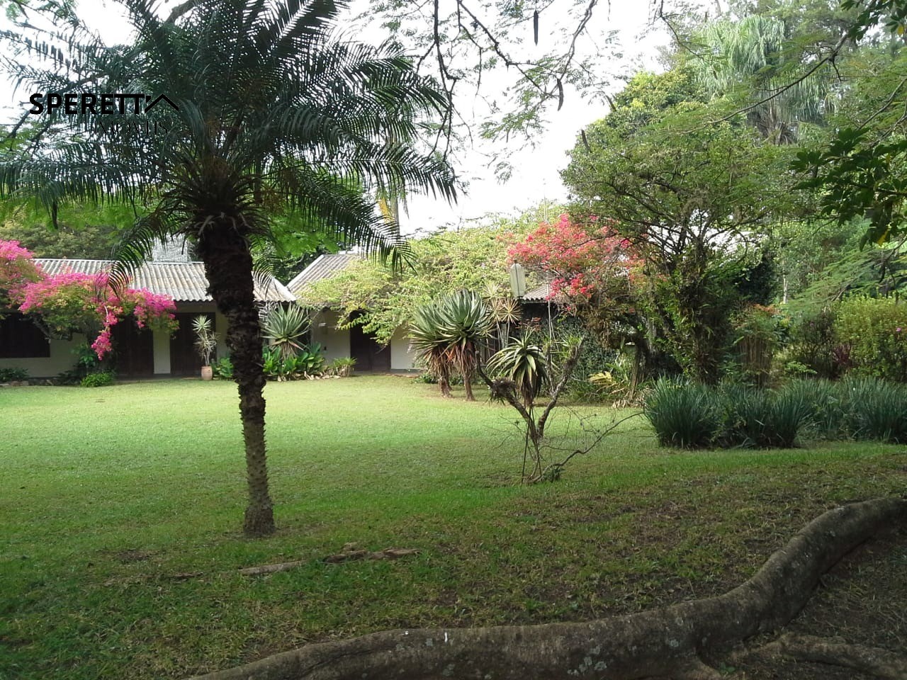Terreno, 5000 m² - Foto 31