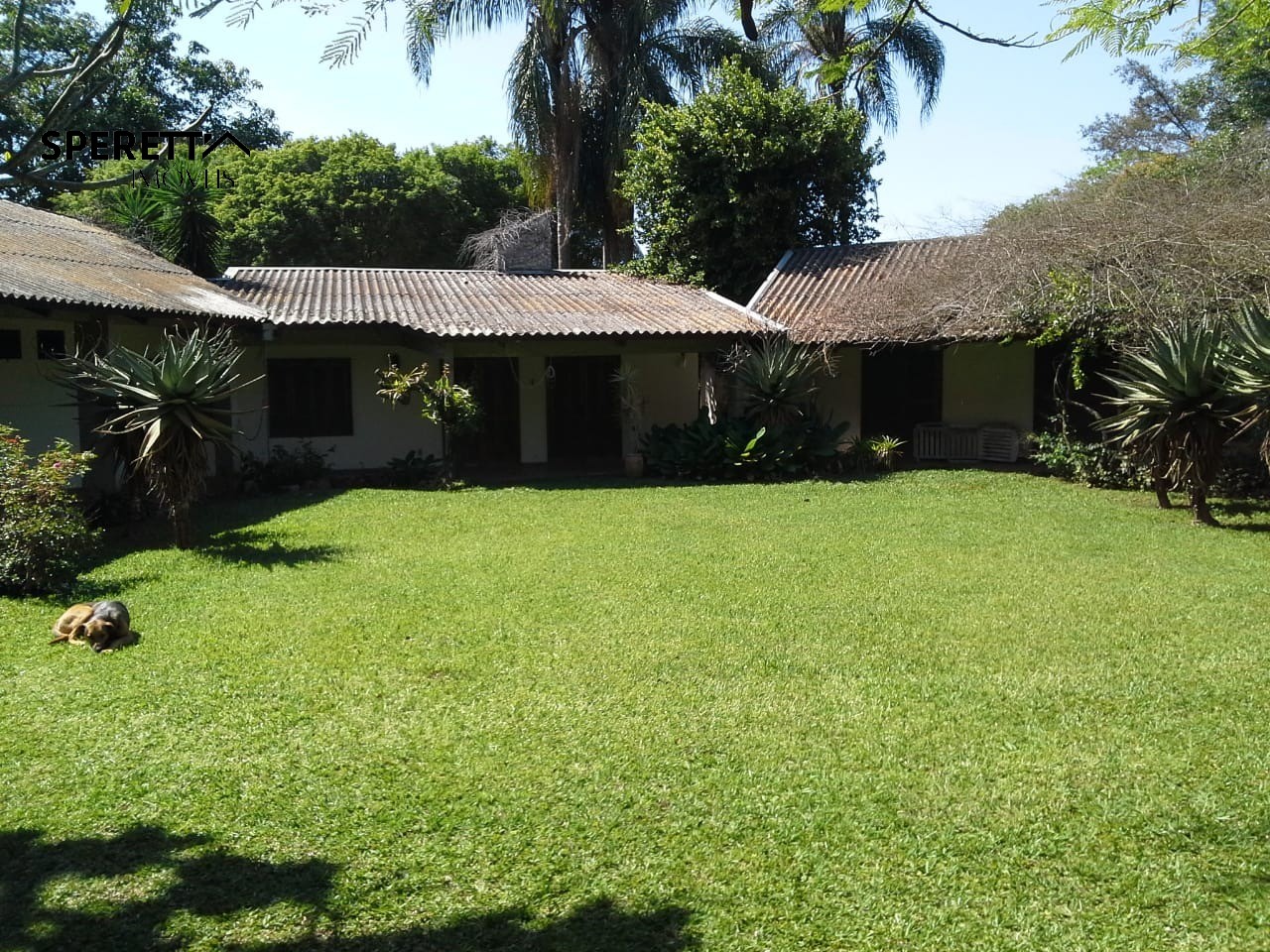Terreno, 5000 m² - Foto 8