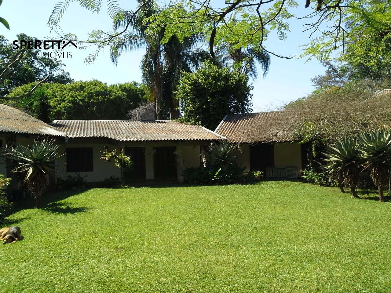 Terreno, 5000 m² - Foto 26