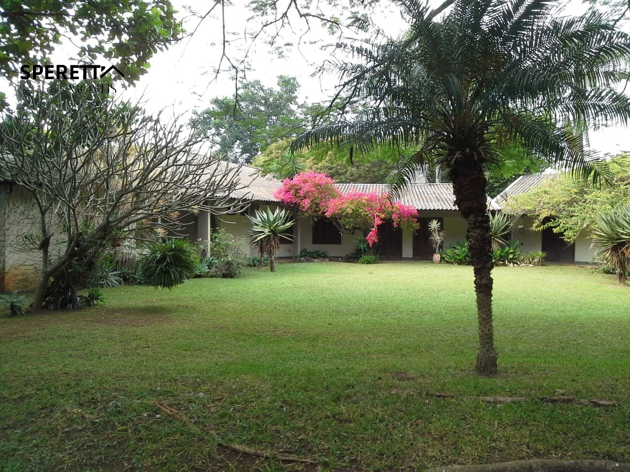 Terreno, 5000 m² - Foto 30