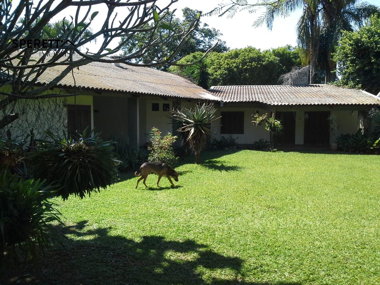 Terreno, 5000 m² - Foto 5