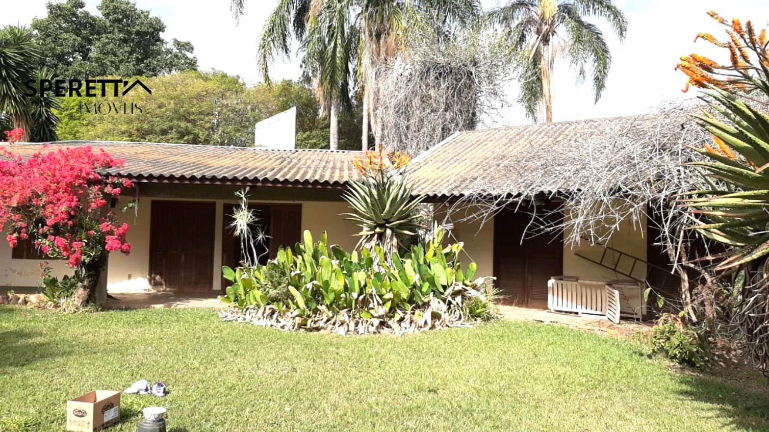 Terreno, 5000 m² - Foto 3