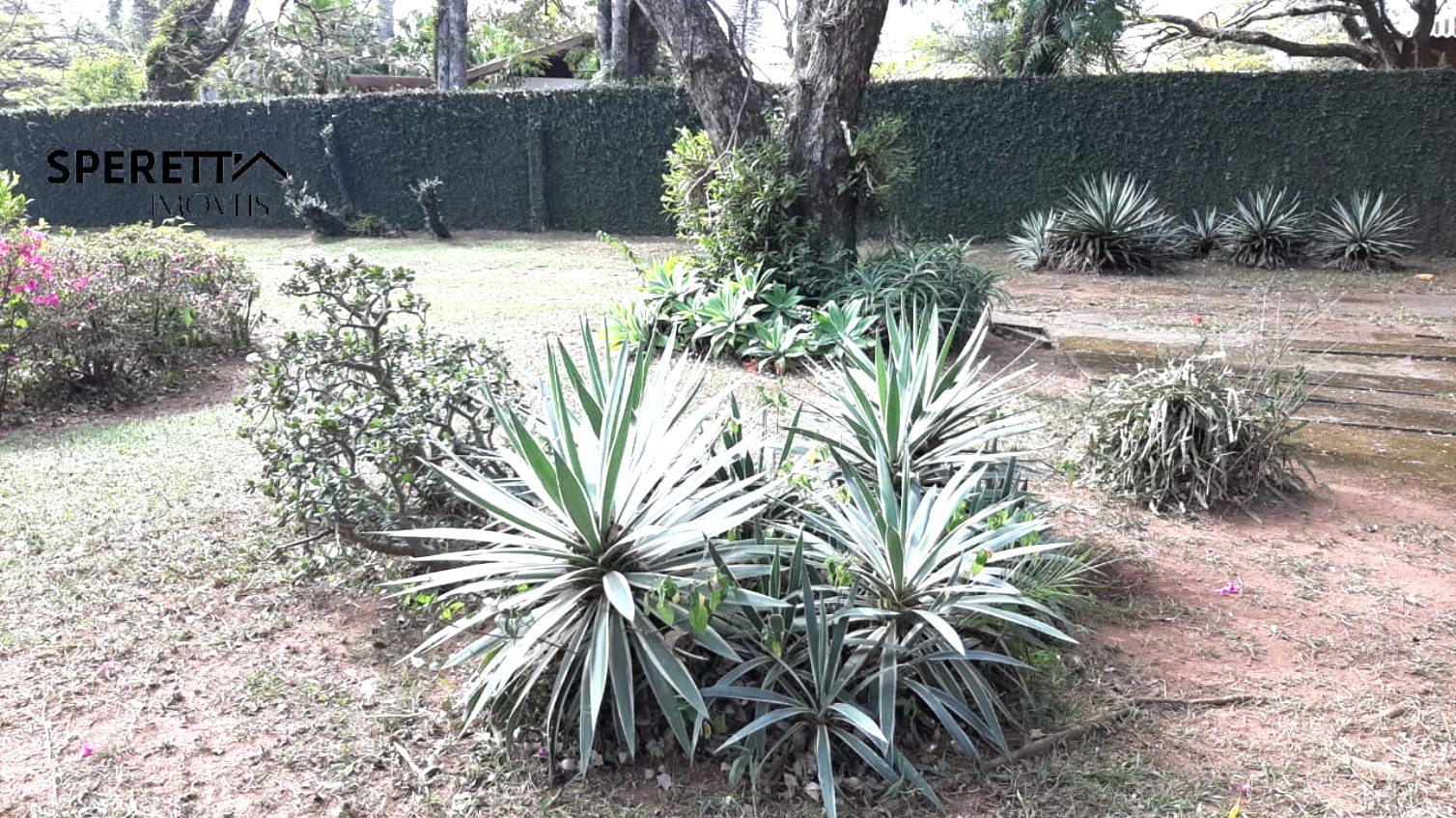 Terreno, 5000 m² - Foto 16