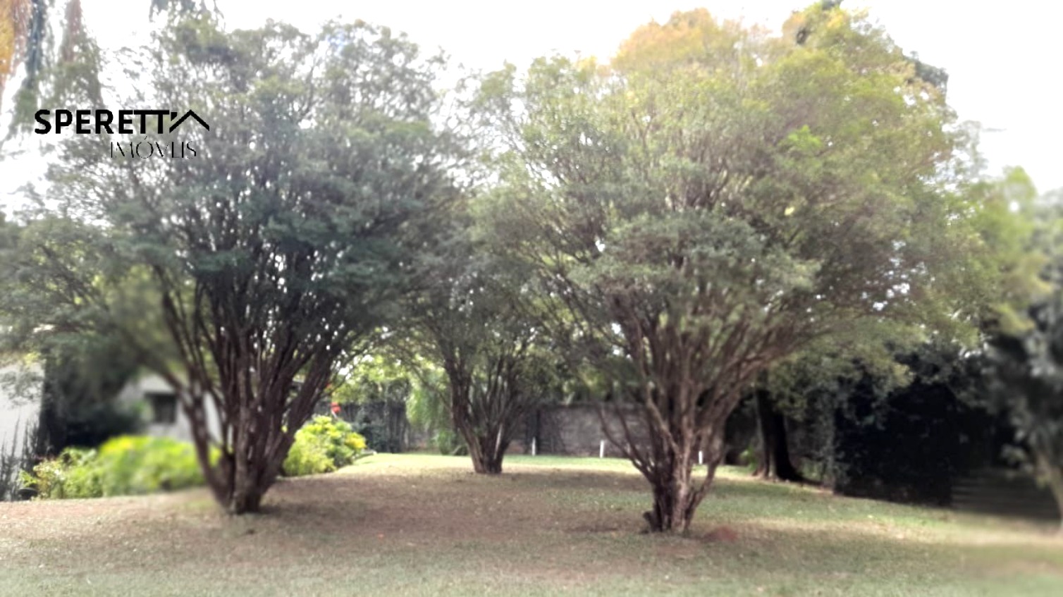 Terreno, 5000 m² - Foto 12