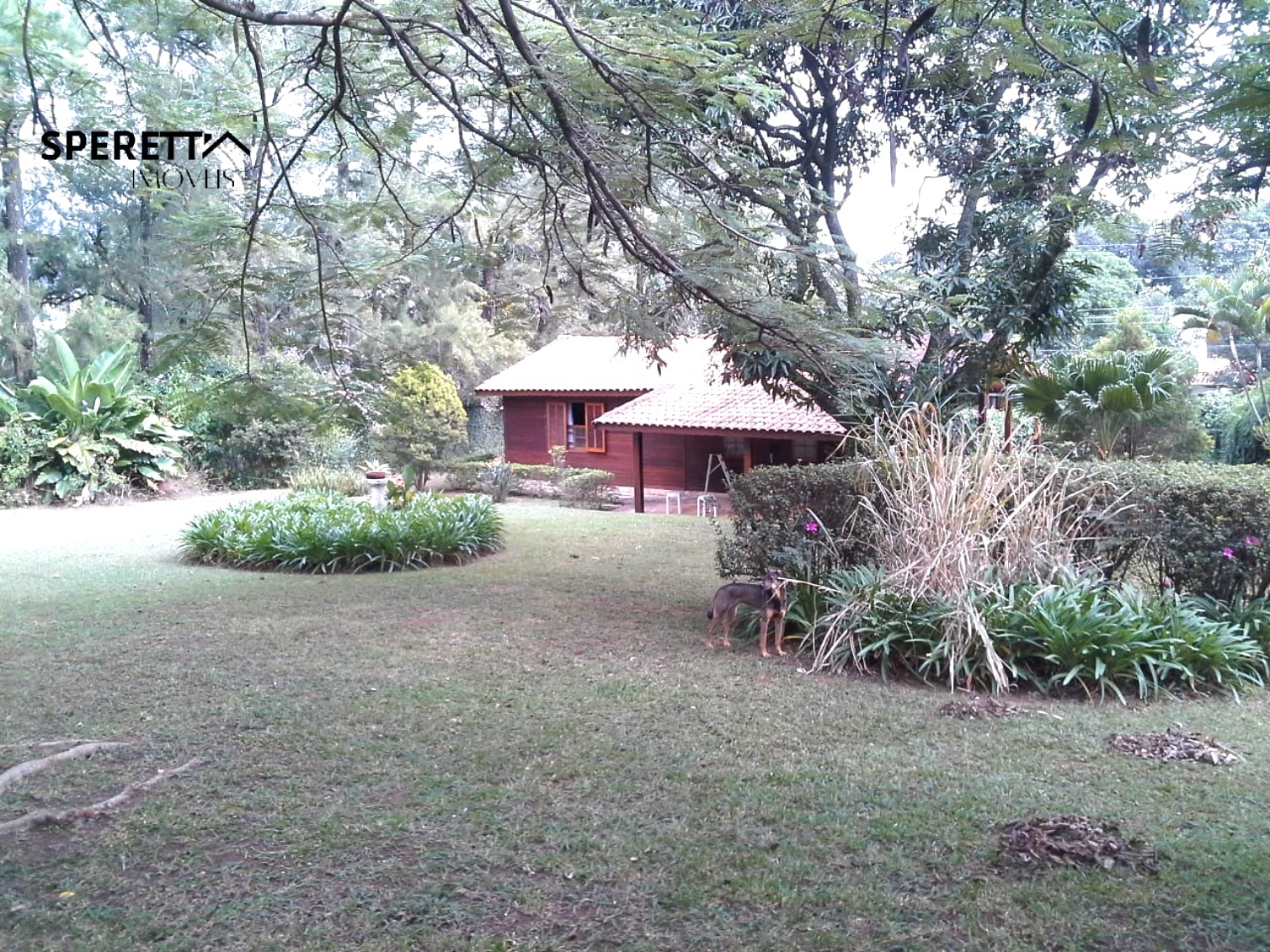 Terreno, 5000 m² - Foto 9