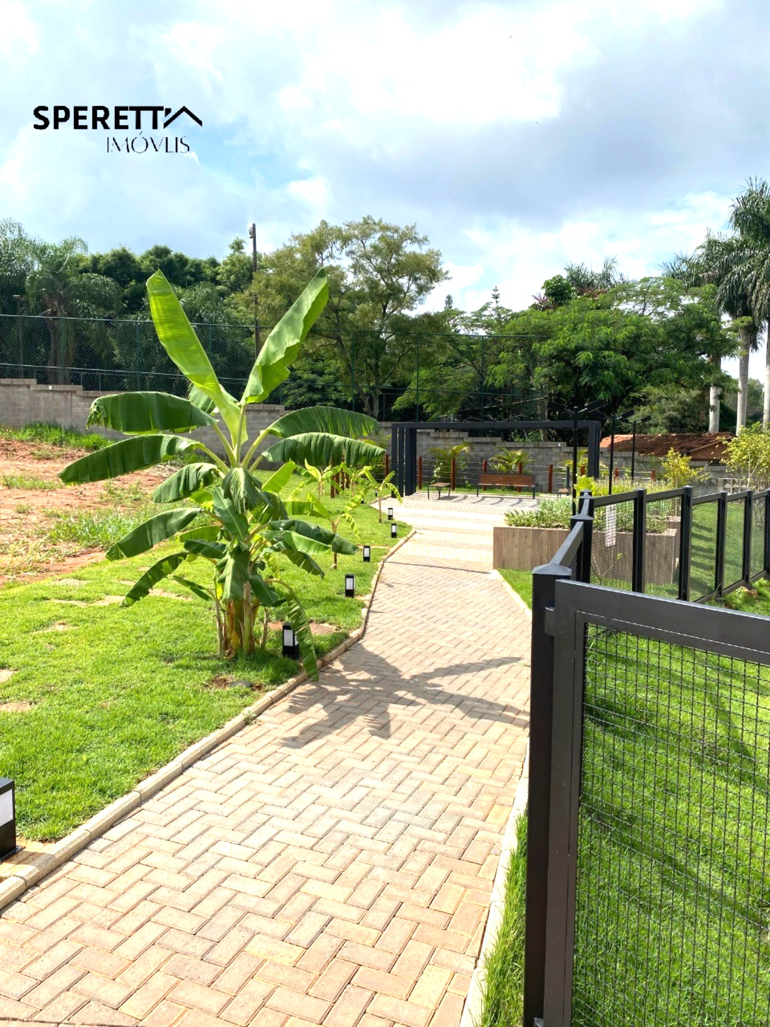 Terreno, 176 m² - Foto 13