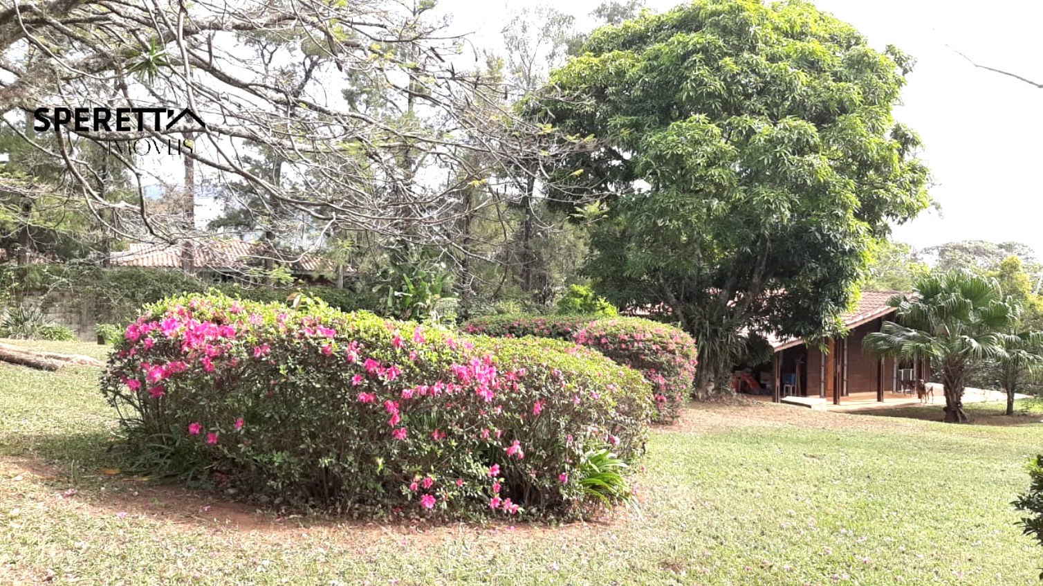 Terreno, 5000 m² - Foto 14