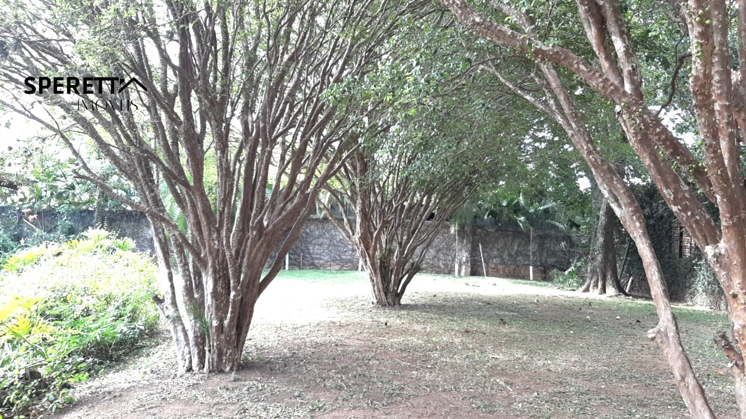 Terreno, 5000 m² - Foto 15