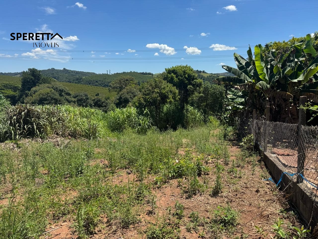 Terreno, 1530 m² - Foto 3