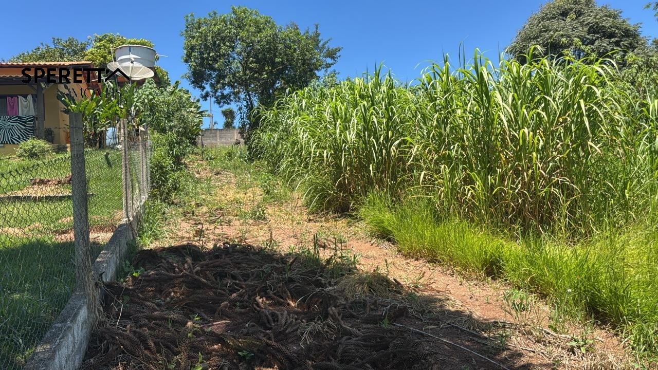 Terreno, 1530 m² - Foto 9