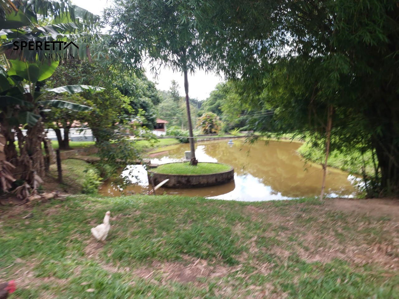 Chácara, 3 quartos - Foto 24
