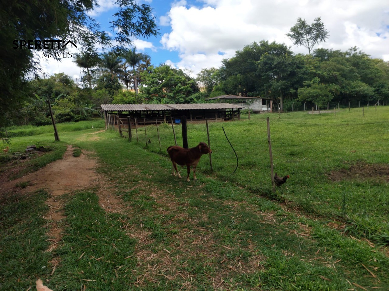 Chácara, 3 quartos - Foto 27
