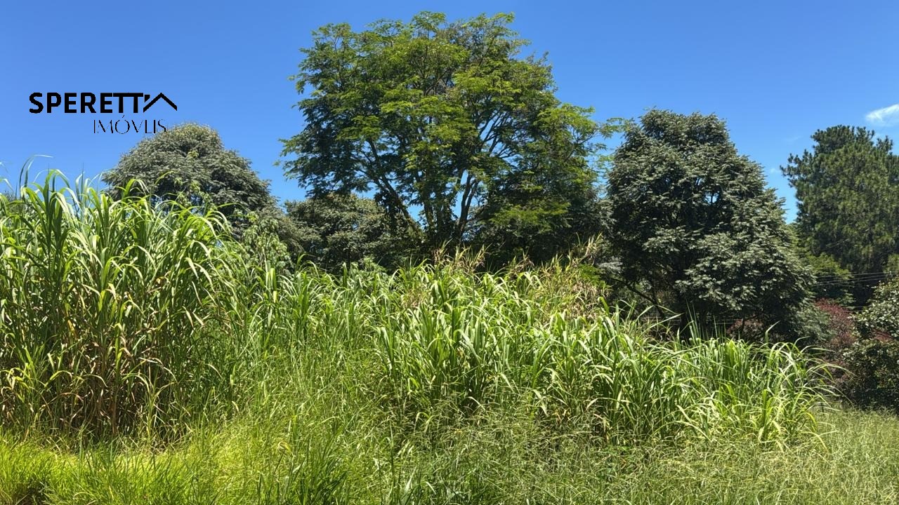 Terreno, 1530 m² - Foto 10