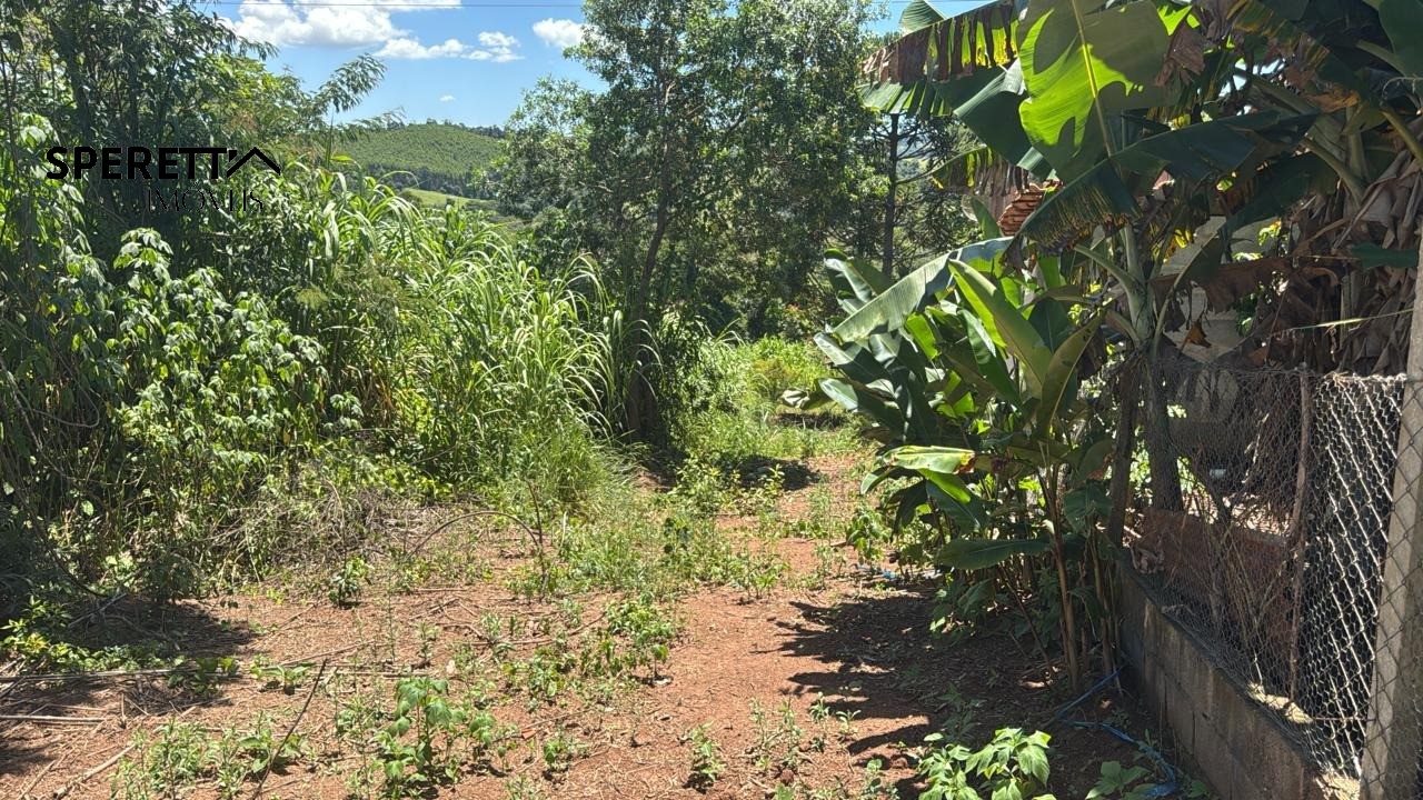 Terreno, 1530 m² - Foto 12