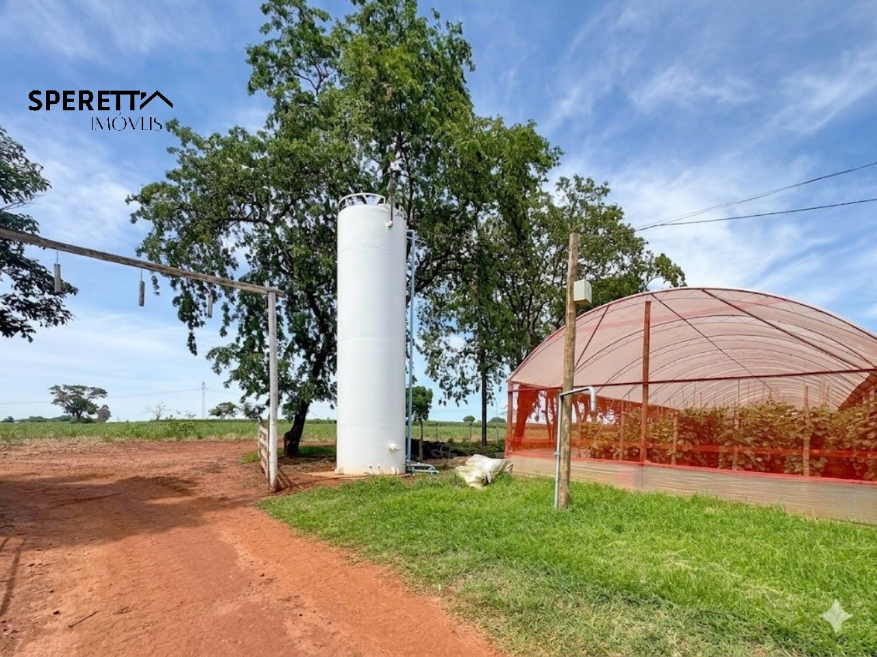 Sítio - Foto 1