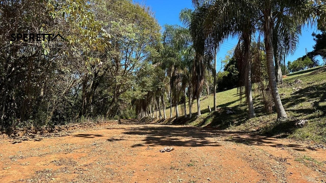Terreno - Foto 5