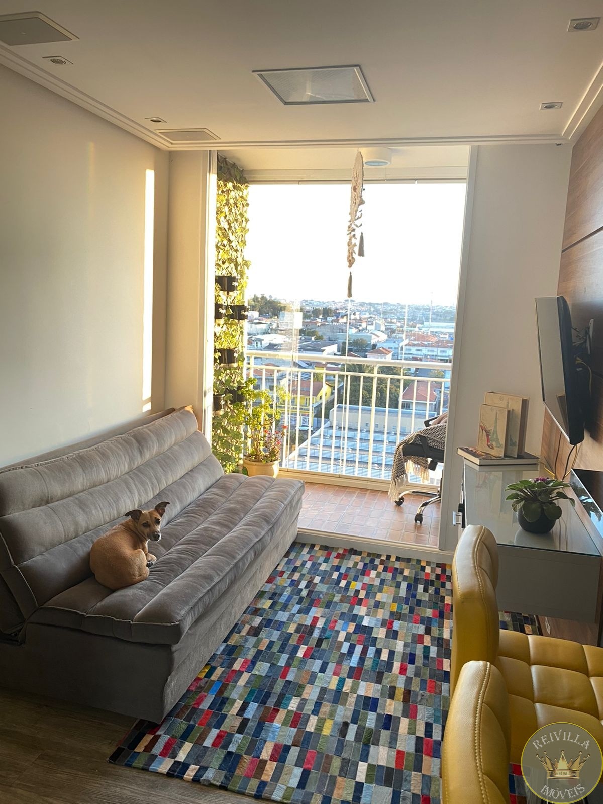 Apartamento vila antonieta, porteira fechada, 2 dorms, vaga,