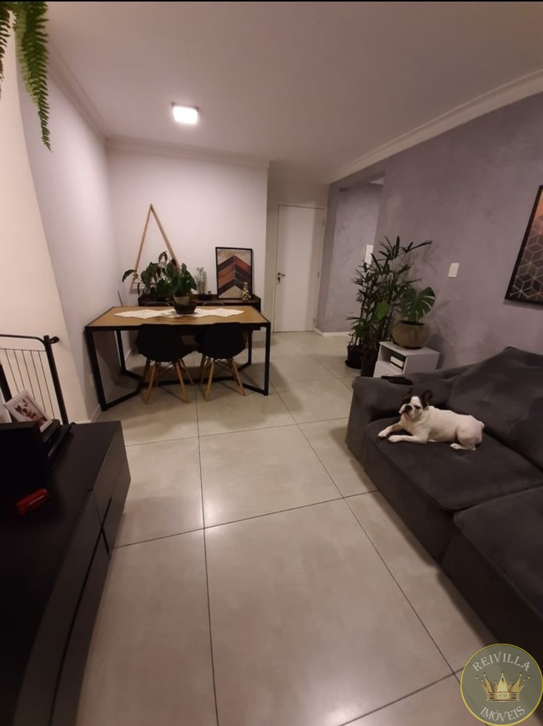 Apartamento com 2 Quartos à venda, 52m² - Vila Matilde