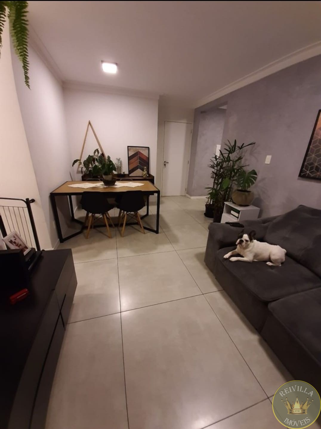 Apartamento com 2 Quartos à venda, 52m² - Vila Matilde