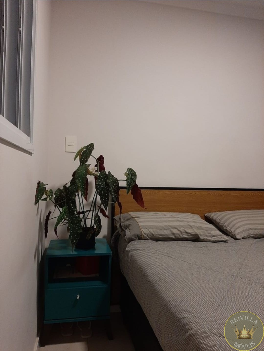 Apartamento com 2 Quartos à venda, 52m² - Vila Matilde