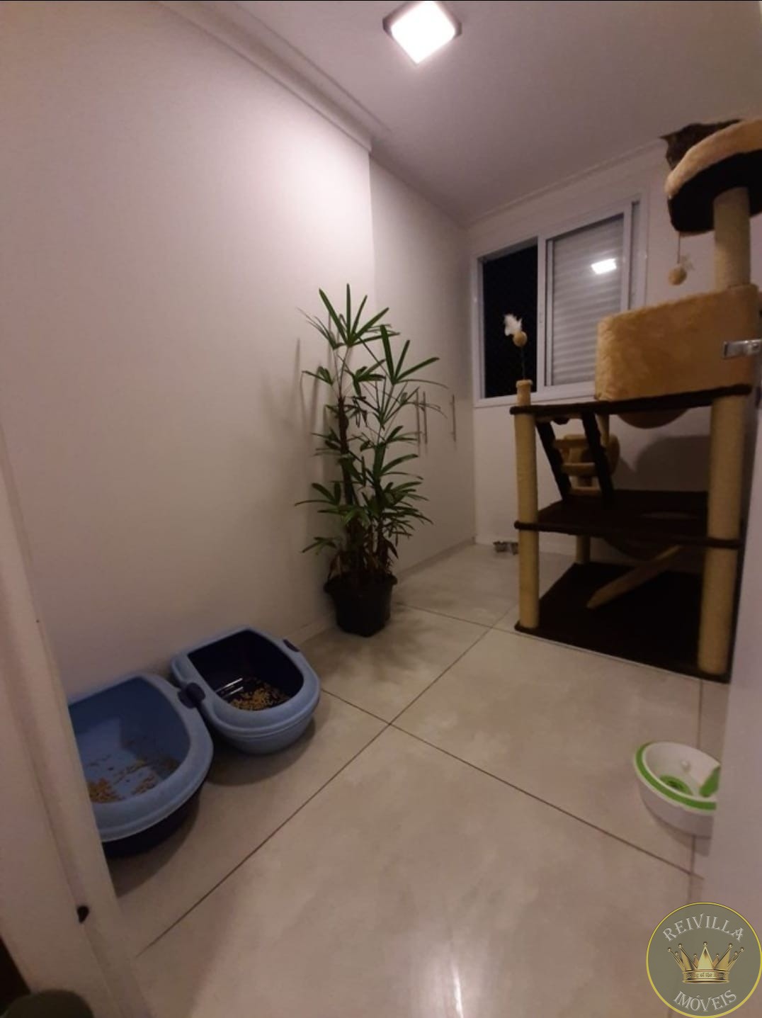 Apartamento com 2 Quartos à venda, 52m² - Vila Matilde