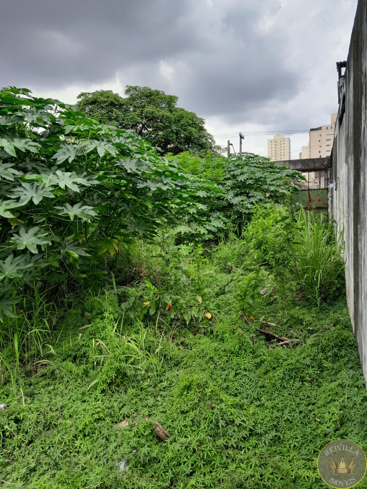 Excelente área para a sua empresa com 1330m² Vila carrão!
