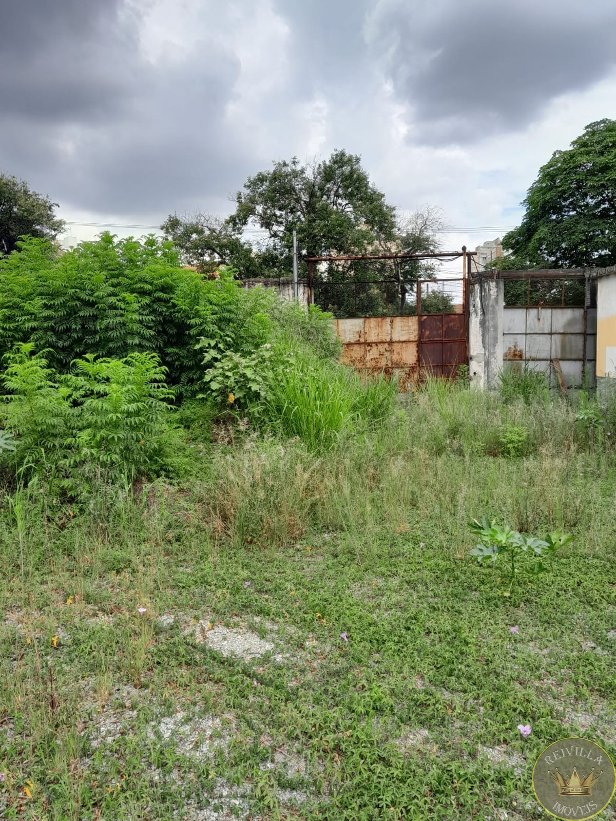 Excelente área para a sua empresa com 1330m² Vila carrão!