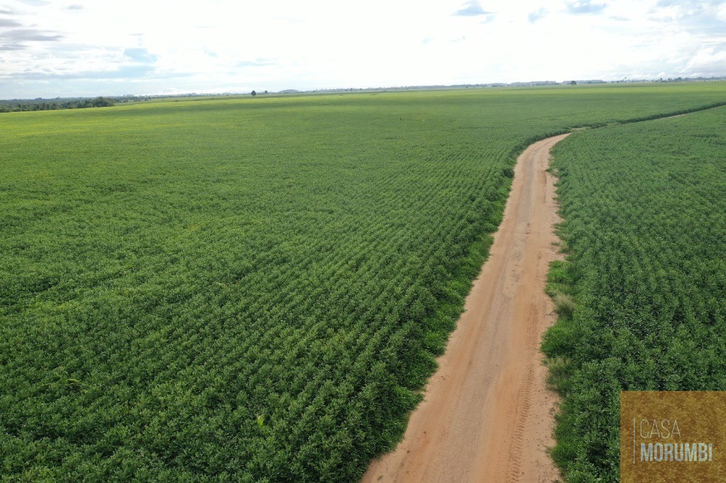 Fazenda, 2000 m² - Foto 1
